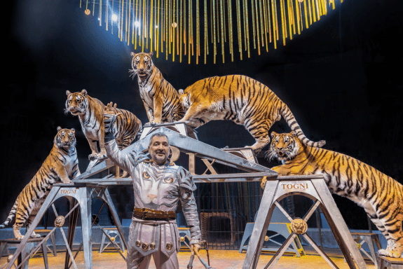 &Icy;&tcy;&acy;&lcy;&softcy;&yacy;&ncy;&scy;&kcy;&icy;&jcy; &tscy;&icy;&rcy;&kcy; &scy;&lcy;&ocy;&ncy;&ycy; &icy; &tcy;&icy;&gcy;&rcy;&ycy;