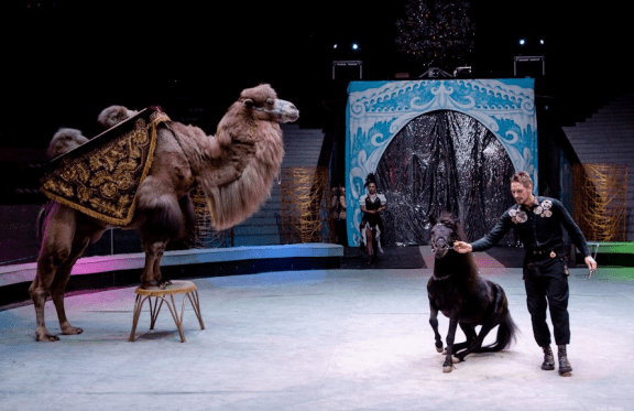 &Mcy;&iecy;&zhcy;&dcy;&ucy;&ncy;&acy;&rcy;&ocy;&dcy;&ncy;&acy;&yacy; &scy;&kcy;&acy;&zcy;&kcy;&acy; "&Vcy;&ocy;&lcy;&shcy;&iecy;&bcy;&ncy;&ycy;&iecy; &pcy;&rcy;&icy;&kcy;&lcy;&yucy;&chcy;&iecy;&ncy;&icy;&yacy;"