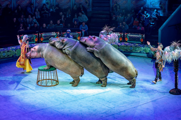 Песчаная сказка