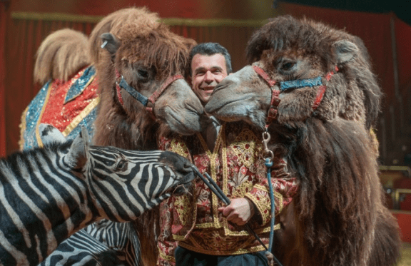 Итальянский цирк "Слоны и тигры"