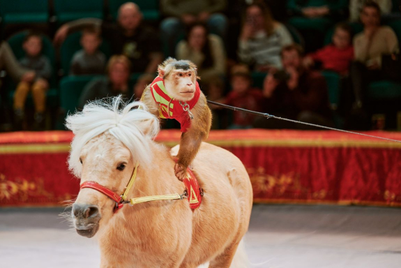 &Icy;&mcy;&pcy;&iecy;&rcy;&icy;&yacy; &lcy;&softcy;&vcy;&icy;&tscy;