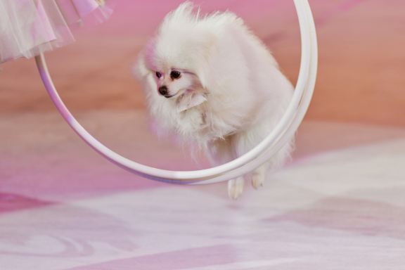 &Icy;&mcy;&pcy;&iecy;&rcy;&icy;&yacy; &lcy;&softcy;&vcy;&icy;&tscy;