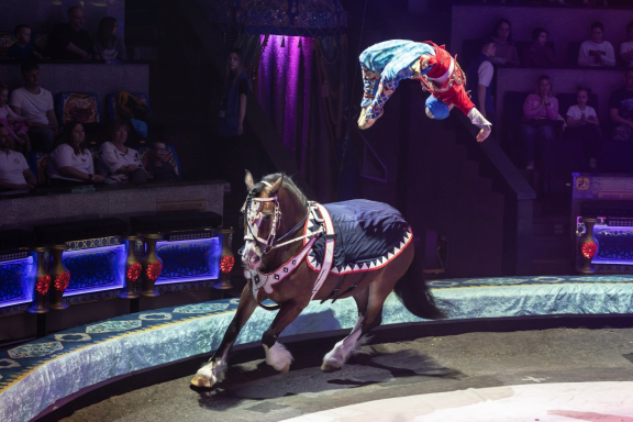 Песчаная сказка