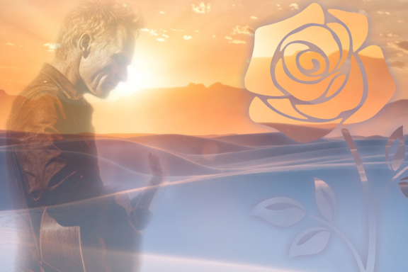 &SHcy;&ocy;&ucy; Sting &laquo;DESERT ROSE SYMPHONY&raquo;