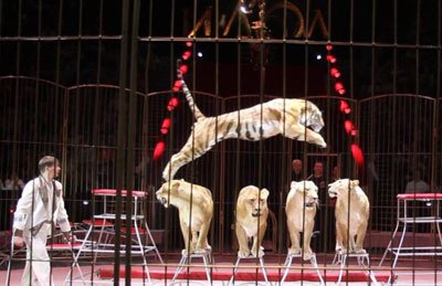 &Icy;&mcy;&pcy;&iecy;&rcy;&icy;&yacy; &lcy;&softcy;&vcy;&icy;&tscy;