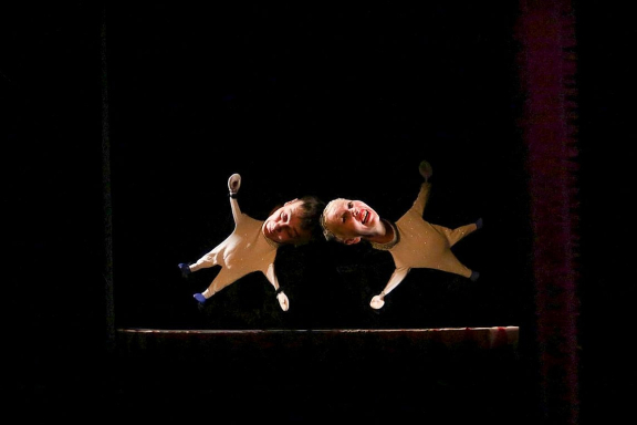 Цирк Шардам