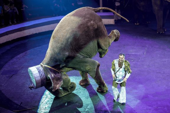 &Icy;&tcy;&acy;&lcy;&softcy;&yacy;&ncy;&scy;&kcy;&icy;&jcy; &tscy;&icy;&rcy;&kcy; &scy;&lcy;&ocy;&ncy;&ycy; &icy; &tcy;&icy;&gcy;&rcy;&ycy;