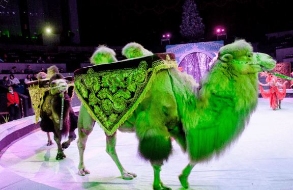 &Mcy;&iecy;&zhcy;&dcy;&ucy;&ncy;&acy;&rcy;&ocy;&dcy;&ncy;&acy;&yacy; &scy;&kcy;&acy;&zcy;&kcy;&acy; "&Vcy;&ocy;&lcy;&shcy;&iecy;&bcy;&ncy;&ycy;&iecy; &pcy;&rcy;&icy;&kcy;&lcy;&yucy;&chcy;&iecy;&ncy;&icy;&yacy;"