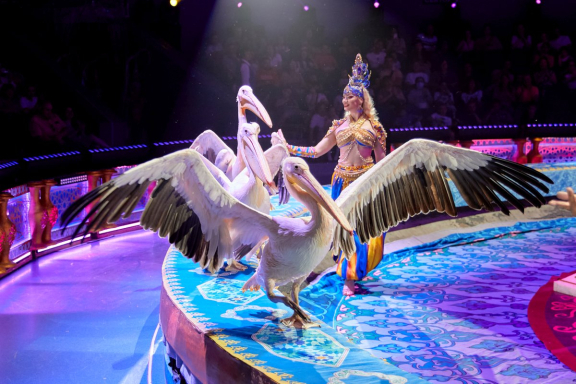 Песчаная сказка